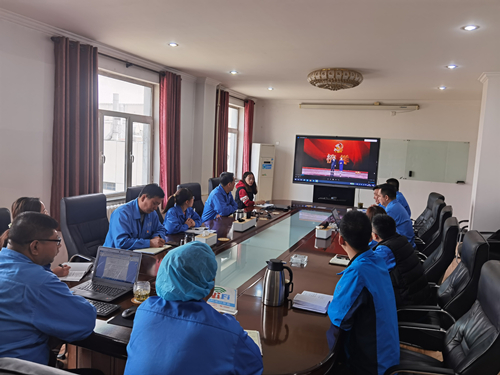 東綸公司黨支部開展主題黨日活動(dòng)